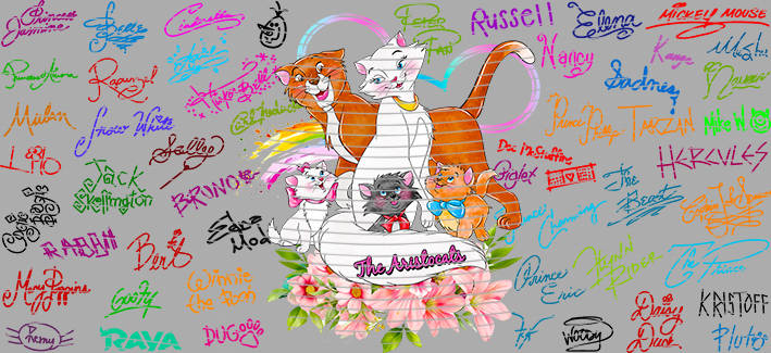 16oz Disney style-D-1307